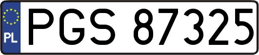 PGS87325