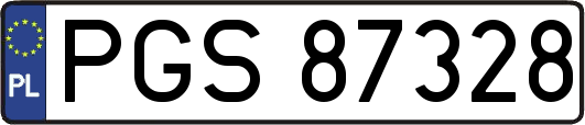 PGS87328