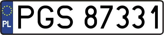 PGS87331