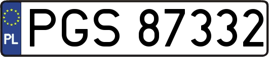 PGS87332