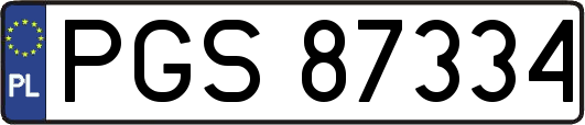 PGS87334