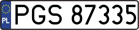 PGS87335
