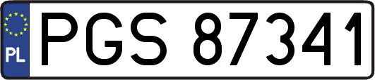 PGS87341