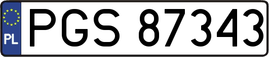 PGS87343