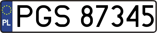 PGS87345