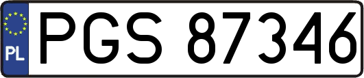 PGS87346