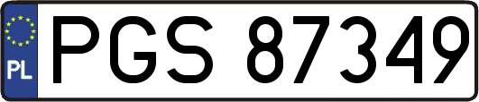 PGS87349