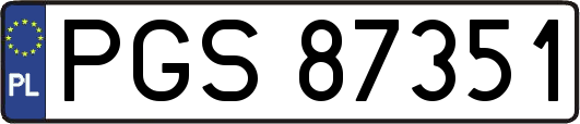 PGS87351