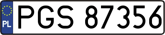 PGS87356