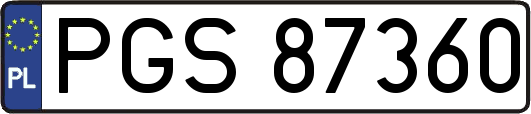 PGS87360