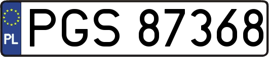 PGS87368