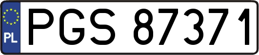 PGS87371