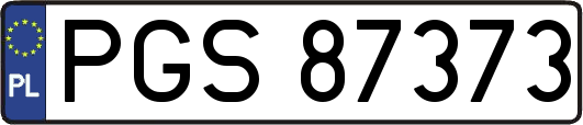 PGS87373