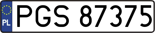 PGS87375