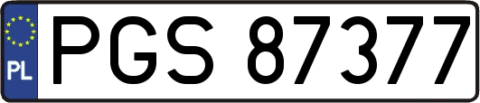 PGS87377