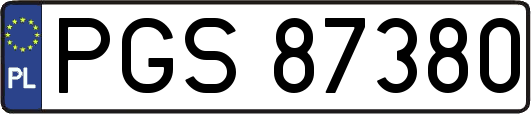 PGS87380