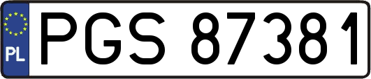 PGS87381