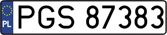 PGS87383