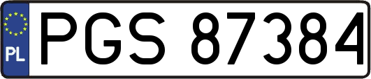 PGS87384