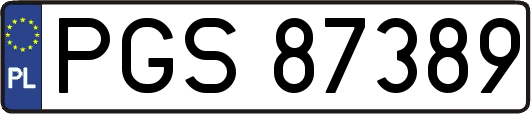 PGS87389