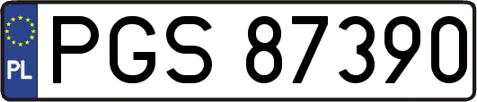 PGS87390