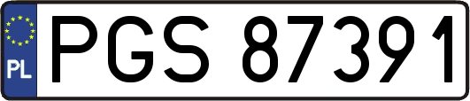 PGS87391
