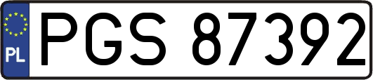PGS87392