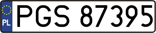 PGS87395