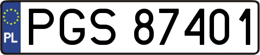 PGS87401
