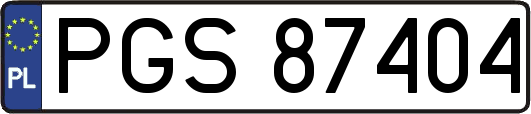 PGS87404