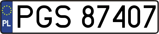 PGS87407