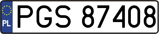 PGS87408