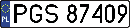 PGS87409