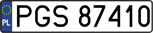PGS87410