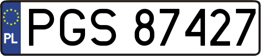 PGS87427