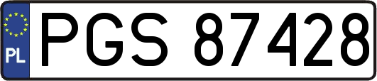 PGS87428