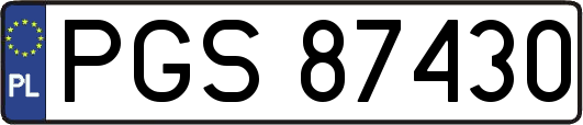 PGS87430
