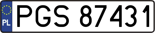 PGS87431