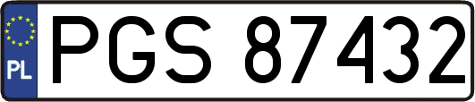 PGS87432