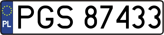 PGS87433