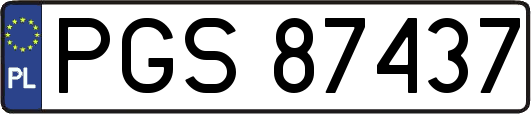 PGS87437