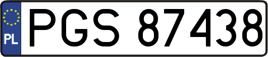 PGS87438