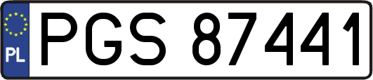 PGS87441