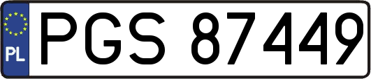 PGS87449