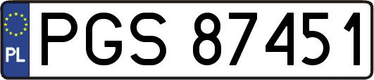 PGS87451