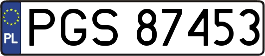 PGS87453