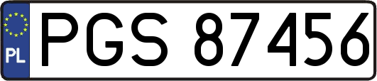 PGS87456