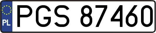 PGS87460