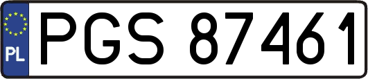 PGS87461