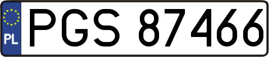 PGS87466